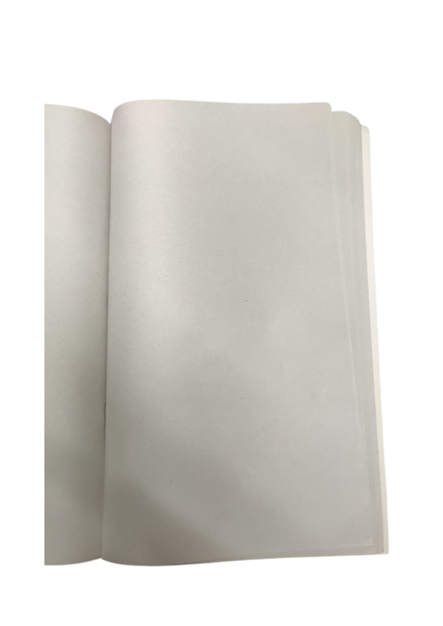 A3 Rough Notebook